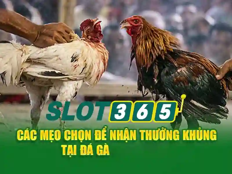 Nguồn gốc và sứ mệnh