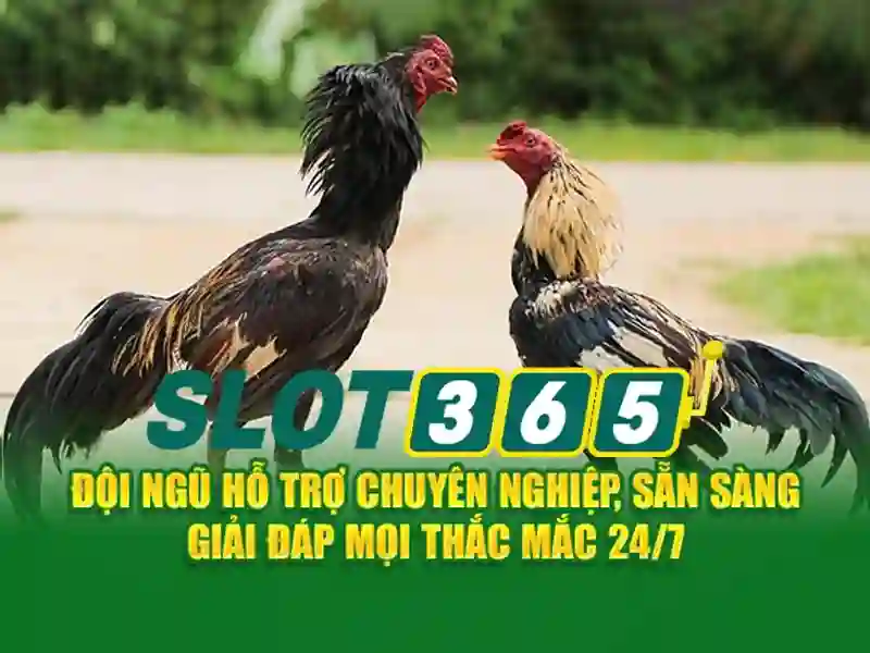 slot365 tải app – trải nghiệm đỉnh cao và an toàn