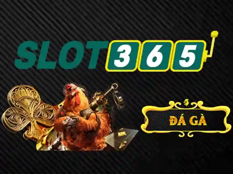 Sản phẩm và dịch vụ cốt lõi của code Slot365 mới nhất