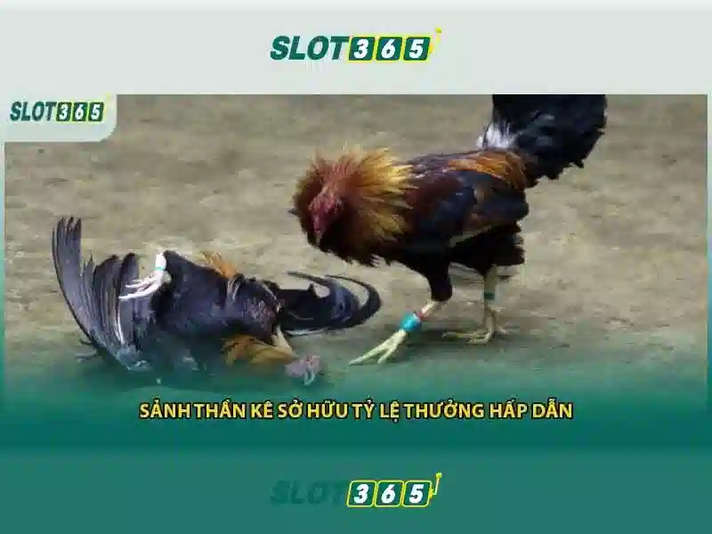 Trải nghiệm người dùng và phản hồi cộng đồng