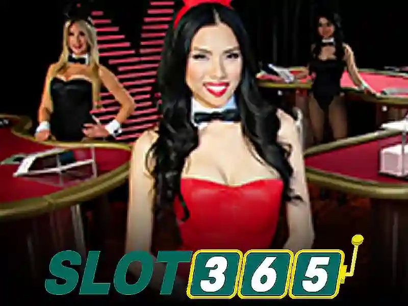 Sản phẩm và dịch vụ cốt lõi của slot365 tại