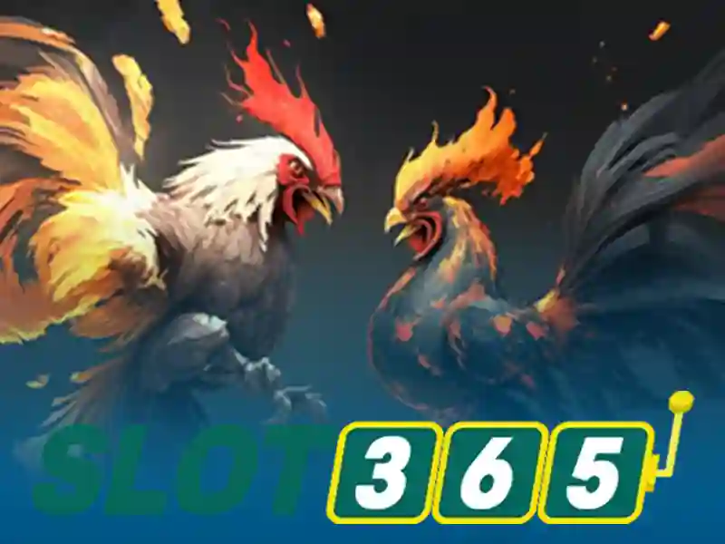 Sản phẩm và dịch vụ cốt lõi của Slot365