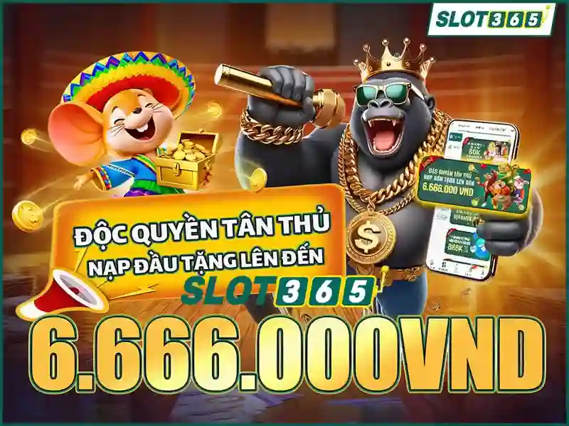slot365 com1 – Tổng quan, đánh giá và trải nghiệm